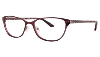 BADGLEY MISCHKA EYEGLASSES